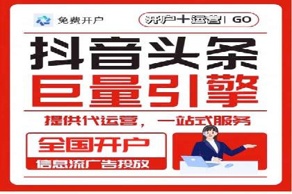 短视频信息流营销实战：小红书的成长之路